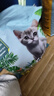 亿迪猫粮冻干幼猫成猫10斤全价英短蓝猫布偶老年猫国产通用全阶段5kg 实拍图