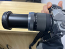 奥之心（OM SYSTEM）M.ZUIKO DIGITAL ED 14-150mm F4.0-5.6 II远摄变焦镜头 微单镜头 一镜走天下 实拍图