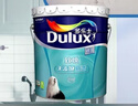 多乐士（Dulux）致悦抗甲醛高效抗菌净味五合一乳胶漆白色内墙漆油漆涂料 A753 配套底漆 A749 18L 实拍图