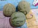 橙小士 海南网纹瓜 冰淇淋蜜瓜糯甜瓜海南新鲜水果热带年货礼盒 5斤精选品质【2-3个】净果4.5斤 实拍图