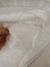 蚕花娘娘【丝路传奇】100%桑蚕丝被子芯四季子母丝重1+3斤150*200cm【白】 实拍图