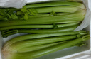 新鲜出土西芹大颗半叶绿色蔬菜榨汁专用甜脆嫩心时令蔬菜现割现发 1斤尝鲜款 实拍图