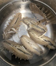 久年大连即食海参京东自营4斤40-48只独立包装 量贩装辽刺参海鲜礼盒 实拍图