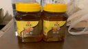 冠生园 枸杞/党参花蜂蜜礼盒500g*2瓶 中华老字号 节日礼盒礼物礼品实用 实拍图