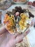 【活蟹】宿有千香 鲜活大闸蟹 全母蟹2.8-3.0两/只 共8只 去绳足重 蟹类螃蟹河蟹礼盒 实拍图