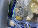 江船长 冷冻鲍鱼 净重160g(10-15粒)袋装 火锅烧烤食材 海鲜生鲜  实拍图
