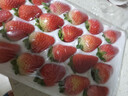 田拾记大凉山红颜奶油草莓【JD-多地次日达】九九草莓新鲜水果送礼礼盒 2盒礼盒装丨尝鲜试吃不划算 小果15枚装丨单果12-20g+丨清甜 实拍图