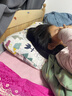 康贝邦（KangBeiBang）儿童枕头6-12岁以上四季通用护颈椎助睡眠枕头学生宿舍专用护脊枕 实拍图