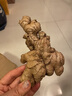 正宗云南罗平新鲜小黄姜老姜生姜月子入药泡脚煲汤姜枣膏炒菜调料 2年老小黄姜5斤【药食两用】 实拍图