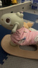 幼贝臣儿童木马摇摇马玩具两用多功能摇马宝宝周岁生日礼物 实拍图