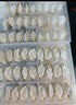 思念大虾仁系列虾仁菌菇三鲜水饺400g20只 虾饺早餐速冻饺子蒸饺煎饺 实拍图