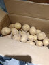新鲜土豆现挖现发山东正宗黄心黄肉当季蔬菜马铃薯洋芋薯条3两起 山东土豆带箱9斤 中大果 实拍图