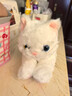 龙猫泰迪小猫抱枕猫咪玩偶布娃娃可爱仿真猫公仔毛绒玩具儿童女生陪睡礼物 白色猫 53 实拍图
