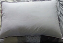 水星家纺枕头枕芯酒店枕头护颈枕头芯家用单个纯棉抗菌可水洗中枕48x74cm 实拍图