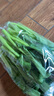 【高山鲜】宁夏菜心300g 实拍图