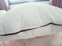 水星家纺枕头枕芯酒店枕头护颈枕头芯家用单个纯棉抗菌可水洗中枕48x74cm 实拍图