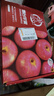 京鲜生 烟台红富士苹果 净重5.2斤/12粒  单果190-240g  水果礼盒 实拍图