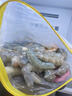 鲜京采 厄瓜多尔白虾 净重3斤/盒 特大号20-30规格   30-45只/盒 实拍图