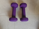 PROIRON普力艾 浸塑哑铃女士家用纯铁小哑铃儿童初学者健身 紫色1.5kg*2 实拍图