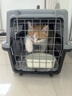 腆宠宠物航空箱小号 猫咪航空箱猫狗 猫包猫笼外出车载猫箱狗狗托运 实拍图