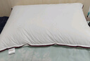 水星家纺枕头枕芯酒店枕头护颈枕头芯家用单个纯棉抗菌可水洗中枕48x74cm 实拍图