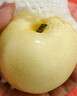 京鲜生 长城皇冠梨  净重4.5斤 单果200g+ 生鲜水果礼盒 实拍图