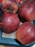 玖原农珍 甘肃静宁富士大漠冰糖心苹果源头直发采摘新鲜礼品水果含箱 9斤净果8.5斤臻选果80-90mm 实拍图