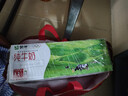 蒙牛纯牛奶利乐钻200ml*24盒营养早餐 电商定制 部分地区7月产 实拍图
