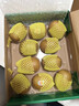佳沛（zespri）新西兰  阳光金奇异果10粒礼盒巨大果单果约144-175g 水果 猕猴桃 实拍图