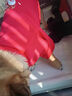 派乐特猫咪衣服拜年服冬季防掉毛新年宠物狗狗小型犬加绒保暖过年圣诞S 实拍图