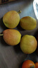 京鲜生 新疆库尔勒香梨 净重5斤 一级 单果100g-120g  生鲜水果 实拍图