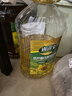 道道全菜籽油 食用油 低芥酸浓香菜籽油 物理压榨 芥酸<2% 5L*1桶 实拍图