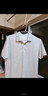 森马（Semir）POLO衫男吸湿速干凉感T恤通勤短袖上衣夏季109325115101 实拍图