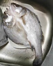 简鲜新鲜活冻三去开背开腹白蕉镇海鲈鱼海鱼海鲜水产去鳃去鳞去内脏 三去海鲈鱼200-250g*6条 实拍图