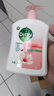 滴露（Dettol）洗手液滋润500g*6 抑菌洗手液家庭装大桶儿童消毒无酒精温和护手 实拍图