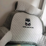 京严床头靠垫床上靠枕大靠背垫软包腰靠抱枕宿舍护腰玩手机看书不塌陷 常规款【加大加厚-可拆洗】哈士奇 70cm*50cm 枕套 大号四挡调温/智能定时/ 实拍图