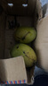 台芒海南热带水果芒果新鲜水果应当季生鲜 带箱4斤 中大果【70-90g】 实拍图