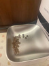 霍曼（Homerun）AI智能宠物自动喂食器视频版 猫狗喂食定时定量摄像头可视 可插卡 实拍图