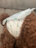嬉皮狗狗狗尿不湿公狗纸尿裤超薄狗狗生理裤小型犬泰迪柯基金毛中大型犬 男宝L（建议体重8-14斤） 实拍图