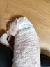 派乐特 宠物猫咪母狗狗生理裤尿不湿泰迪纸尿裤 宠物纸尿裤 L 10片装 实拍图