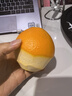 新奇士（Sunkist） 澳洲黑标晚熟脐橙 8斤礼盒装  单果220g起 新鲜水果礼盒 实拍图