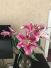 悦多彩AB级优质香水百合 家庭办公室各色生活鲜花 昆明基地 现采直发 随机单色百合10朵（双头5枝） 实拍图