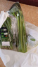 【有机】芹菜（西芹）400g 实拍图
