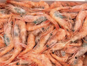 美加佳北极甜虾  净重2斤 原装进口 90-120只 生甜虾  实拍图