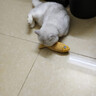 欢宠网猫玩具猫咪逗猫棒猫薄荷磨牙棒自嗨解闷神器磨牙猫猫小猫幼猫宠物 实拍图