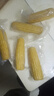 东北黄糯玉米真空包装速食玉米软糯香甜代餐小棒140g-180g 5根装 实拍图