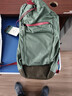 OSPREY 双肩包 日光15L户外登山背包 徒步旅行包男女同款休闲城市通勤包 15L松叶绿（新款） 实拍图