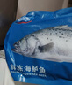 海名威 冷冻海鲈鱼850g/2条装 海鱼 生鲜鱼类 海鲜水产  实拍图