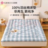洁丽雅（Grace）单人学生床垫褥子可折叠学生床褥上下铺床榻榻米 0.9米床90*200cm 实拍图