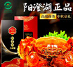 【礼券】湖塘烟雨 阳澄湖大闸蟹礼品卡螃蟹卡礼券提货卡公5母4两4对海鲜礼盒送长辈领导 实拍图